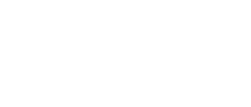 Boss femme